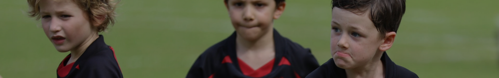 Tanglin Rugby